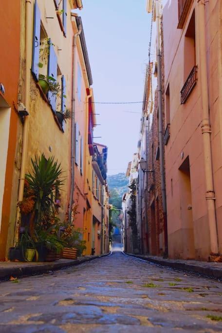 Au Coeur De Ville Avec Terrasse Céret Exterior foto